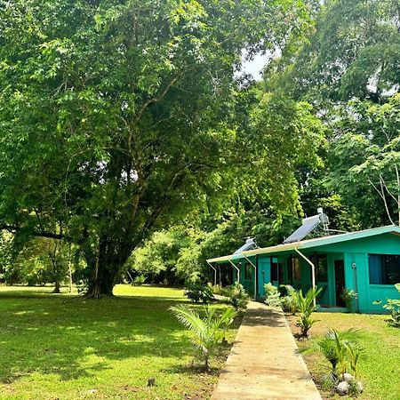 The Secret Eco Lodge Tortuguero Ngoại thất bức ảnh