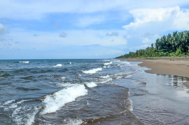The Secret Eco Lodge Tortuguero Ngoại thất bức ảnh