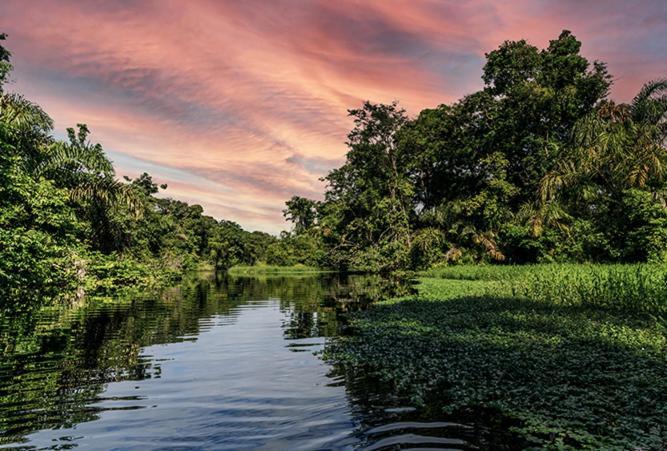 The Secret Eco Lodge Tortuguero Ngoại thất bức ảnh