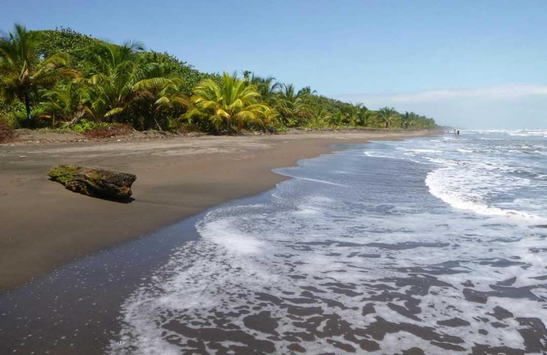 The Secret Eco Lodge Tortuguero Ngoại thất bức ảnh