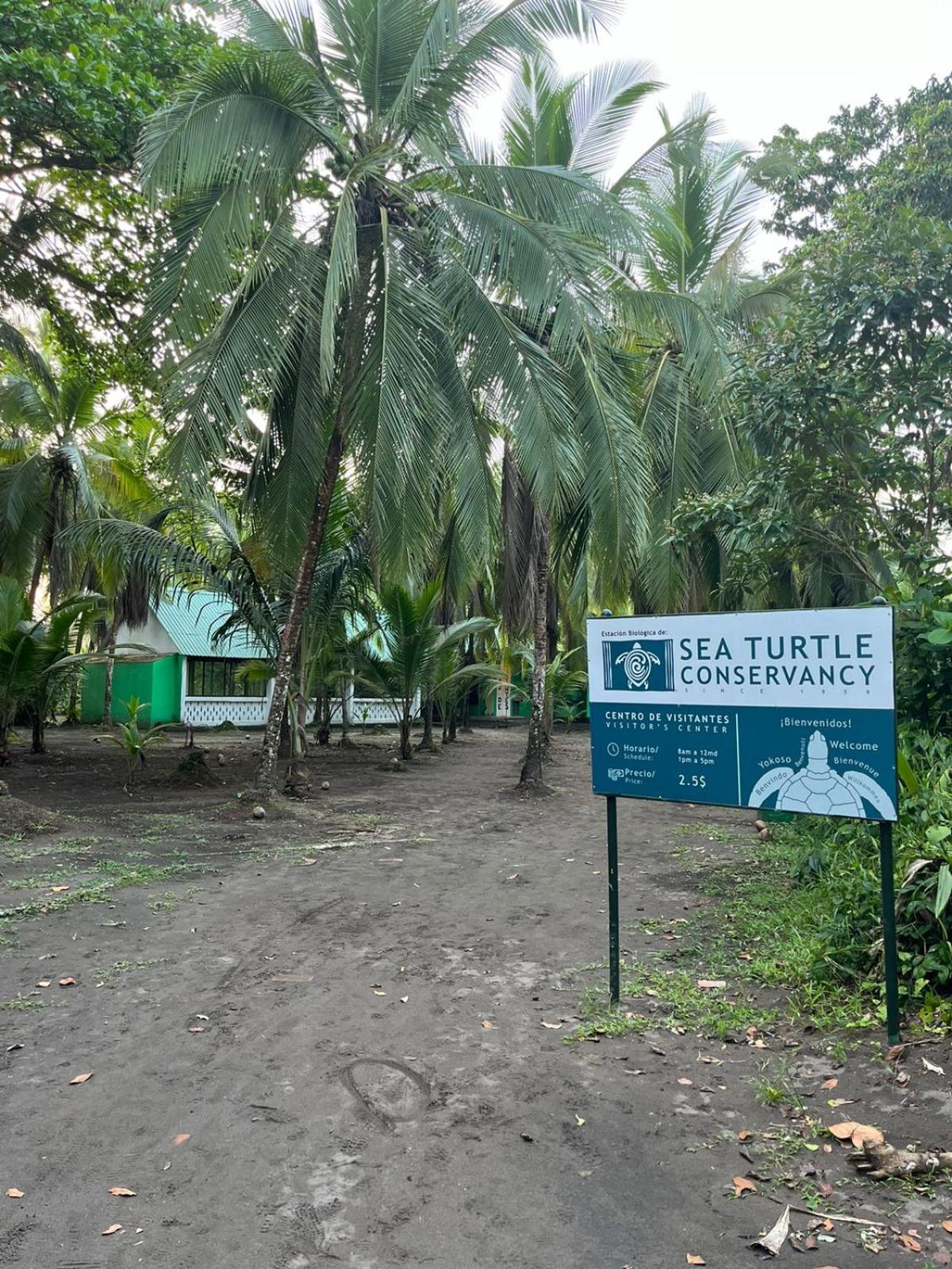 The Secret Eco Lodge Tortuguero Ngoại thất bức ảnh
