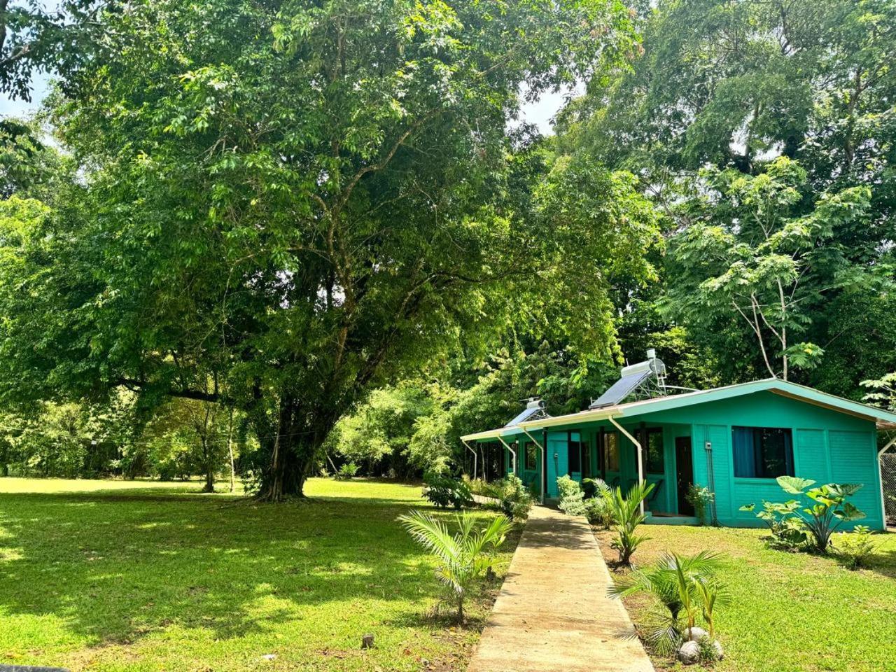 The Secret Eco Lodge Tortuguero Ngoại thất bức ảnh