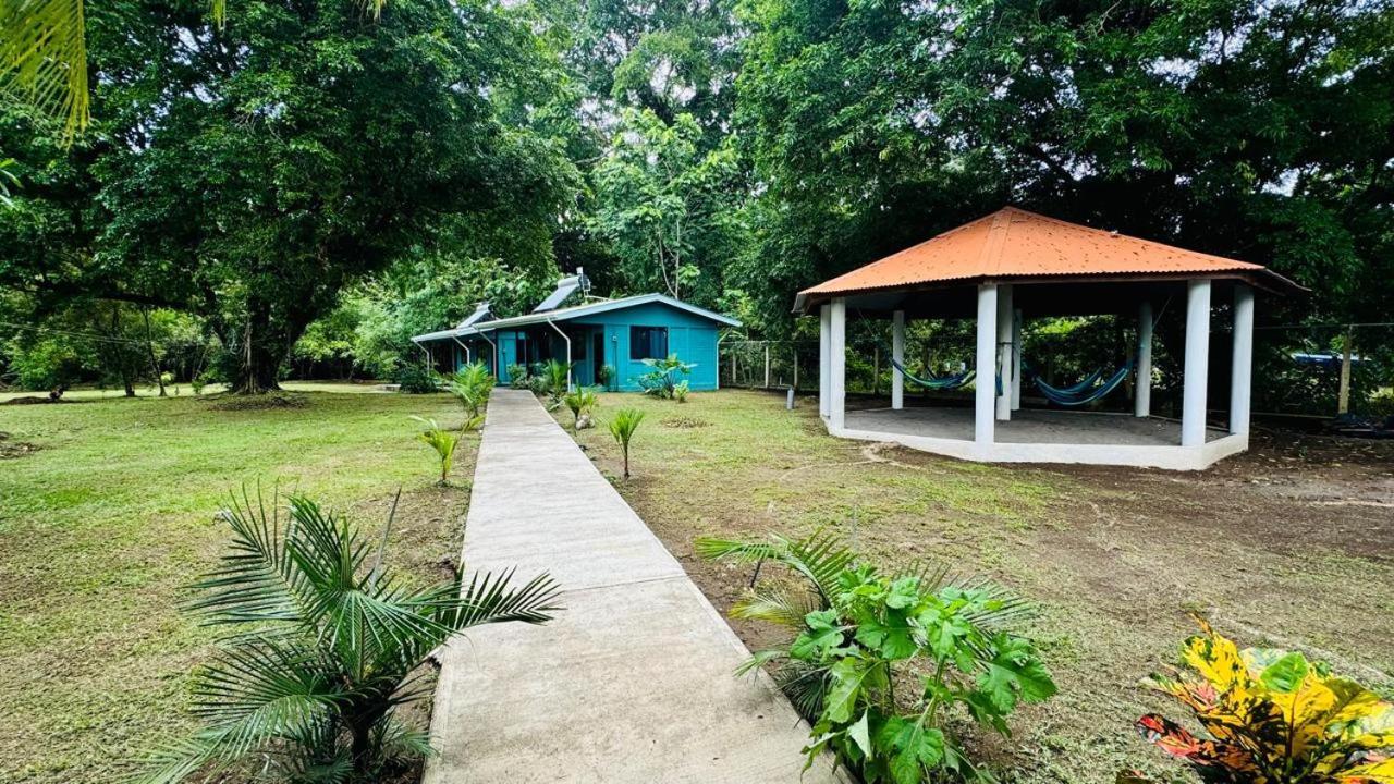 The Secret Eco Lodge Tortuguero Ngoại thất bức ảnh