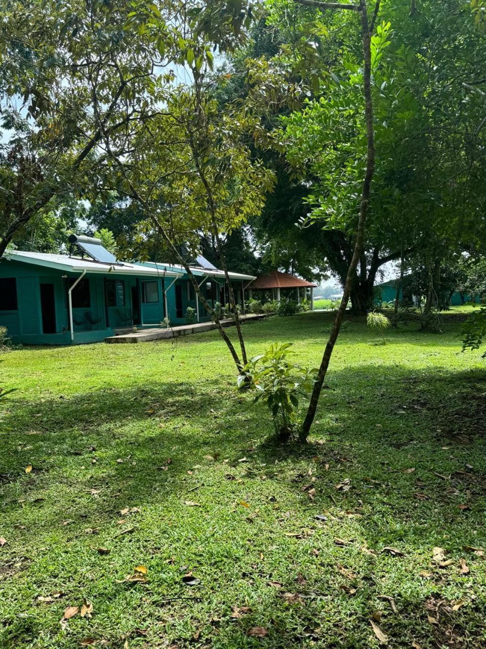 The Secret Eco Lodge Tortuguero Ngoại thất bức ảnh